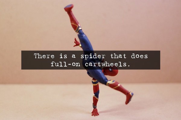 Scary Facts (14 pics)