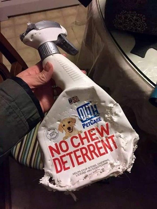 I Don't Want It (30 pics)