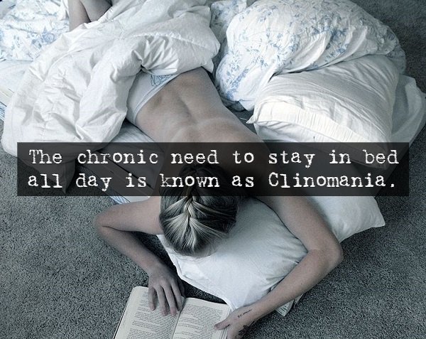 Scary Facts (14 pics)