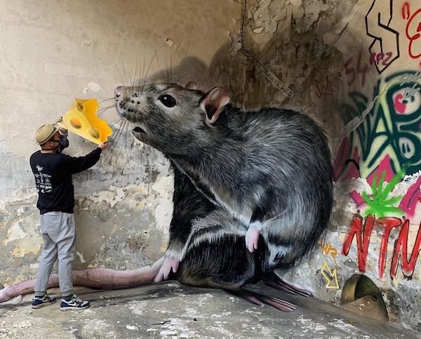 Graffiti by SCAF (32 pics)