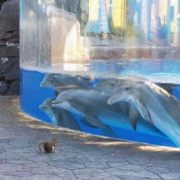 Acid Picdump. Part 1 (80 pics)