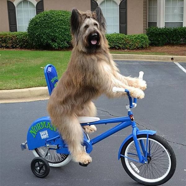 Acid Picdump. Part 1 (80 pics)