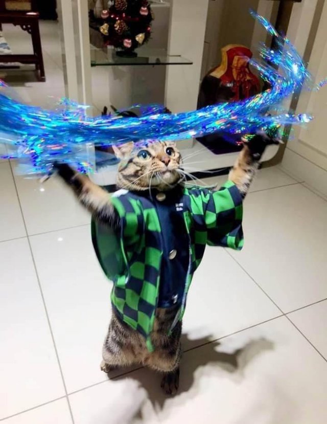 Acid Picdump. Part 1 (80 pics)