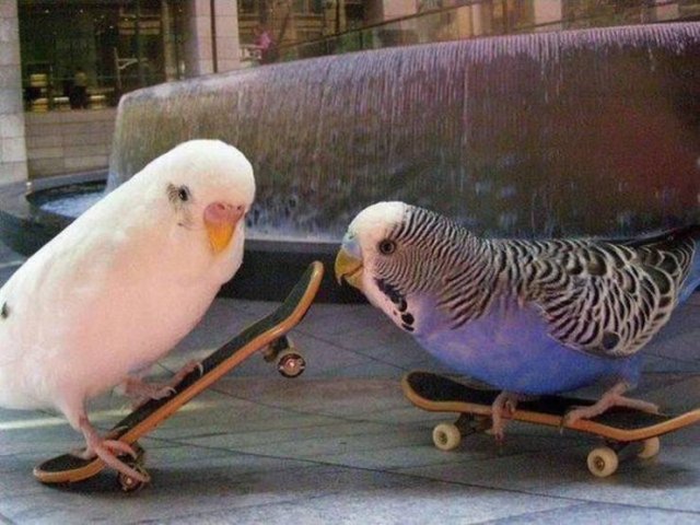 Acid Picdump. Part 1 (80 pics)