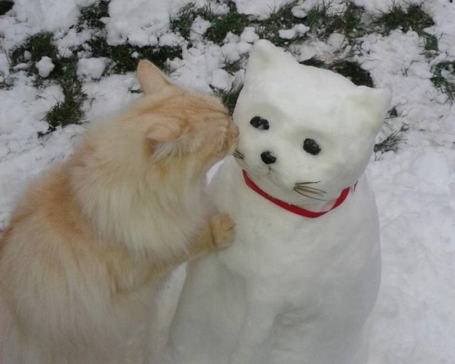 Acid Picdump. Part 1 (80 pics)