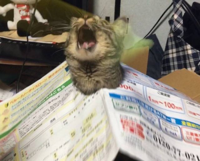 Acid Picdump. Part 1 (80 pics)