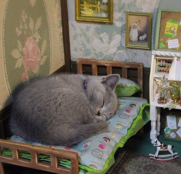 Acid Picdump. Part 1 (80 pics)