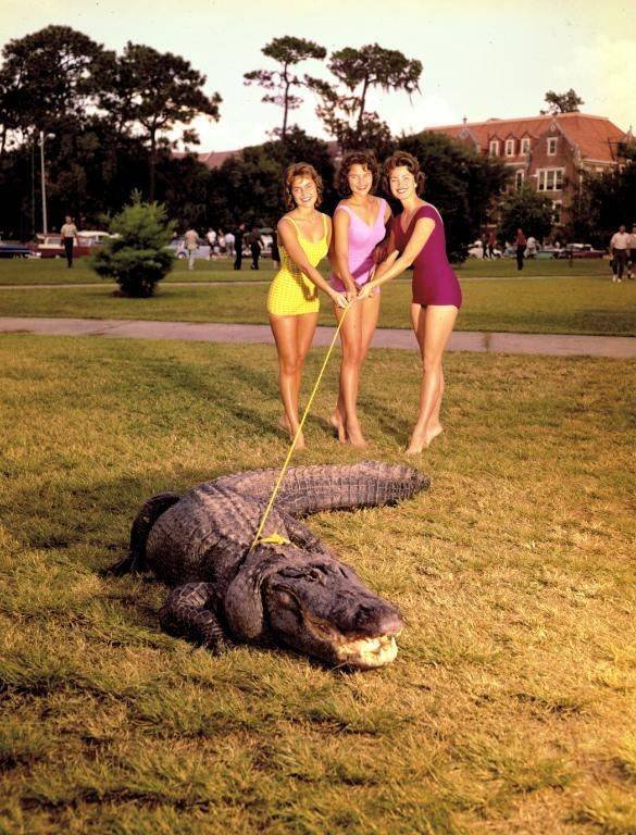 Acid Picdump. Part 1 (80 pics)