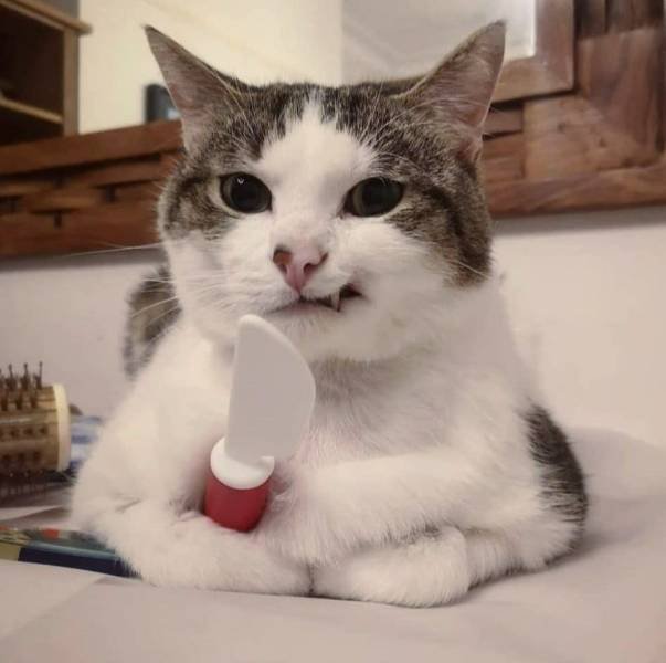 Acid Picdump. Part 1 (80 pics)