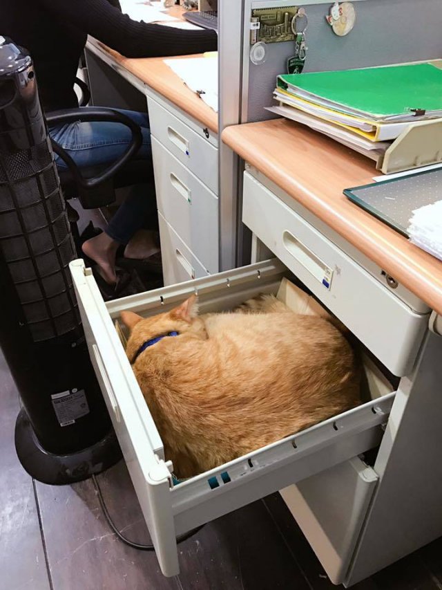 Acid Picdump. Part 2 (98 pics)