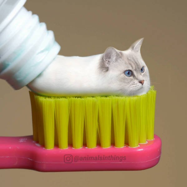 Acid Picdump. Part 2 (98 pics)