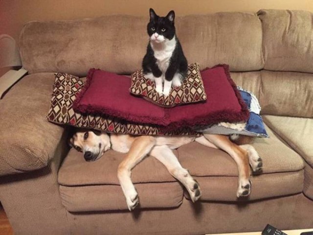 Acid Picdump. Part 2 (98 pics)