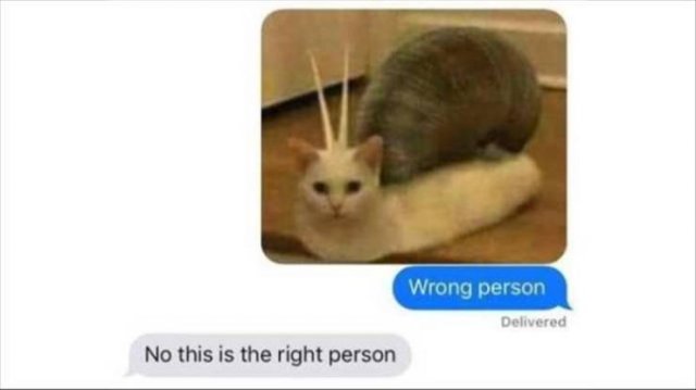 Acid Picdump. Part 2 (98 pics)