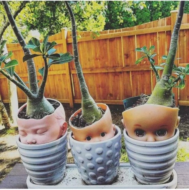 Acid Picdump. Part 2 (98 pics)