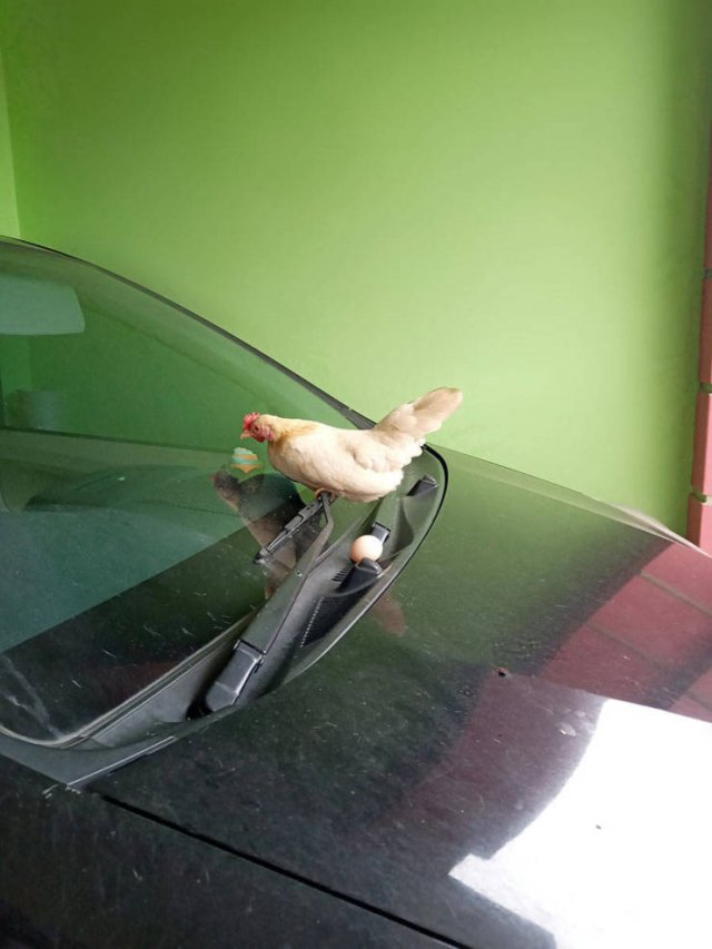 Acid Picdump. Part 2 (98 pics)