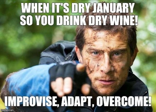 Dry January Memes (32 pics)