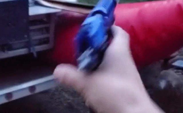 Acid Gifdump, January 7 (25 gifs)