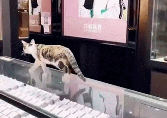 Acid Gifdump, January 7 (25 gifs)