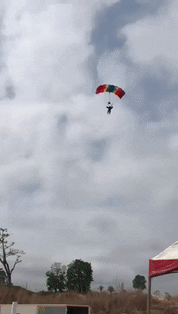 Acid Gifdump, January 7 (25 gifs)