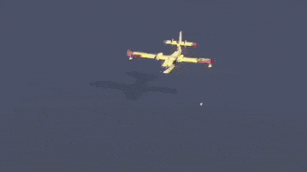 Acid Gifdump, January 7 (25 gifs)
