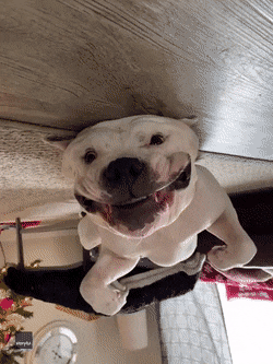 Acid Gifdump, January 7 (25 gifs)