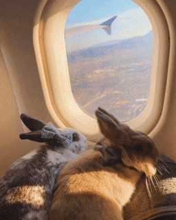 Acid Gifdump, January 7 (25 gifs)