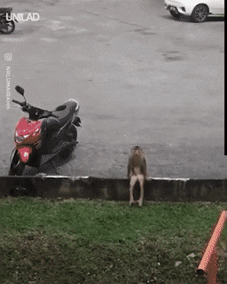 Acid Gifdump, January 7 (25 gifs)