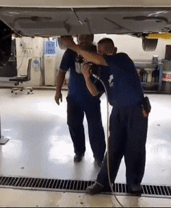 Acid Gifdump, January 7 (25 gifs)