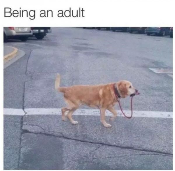 Welcome To Adult World (27 pics)