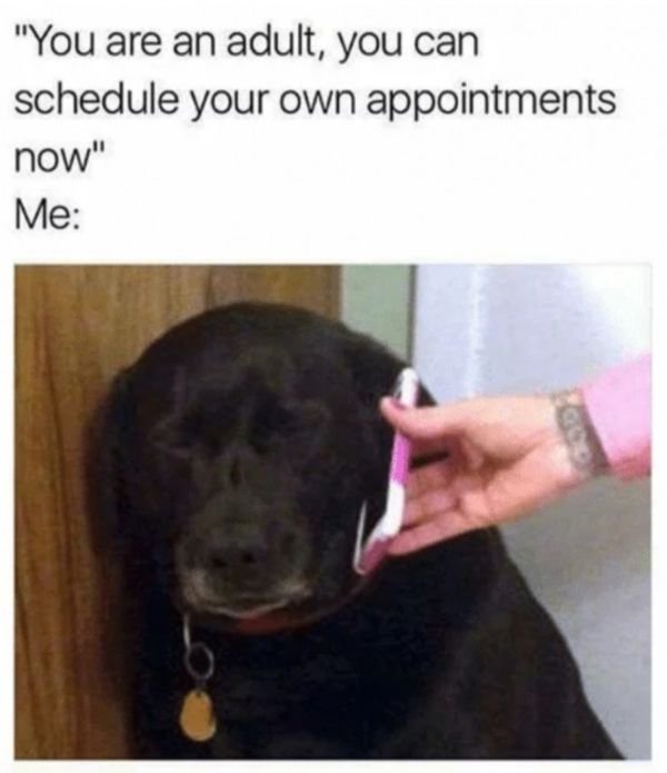 Welcome To Adult World (27 pics)
