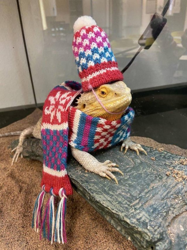 Acid Picdump. Part 1 (99 pics)