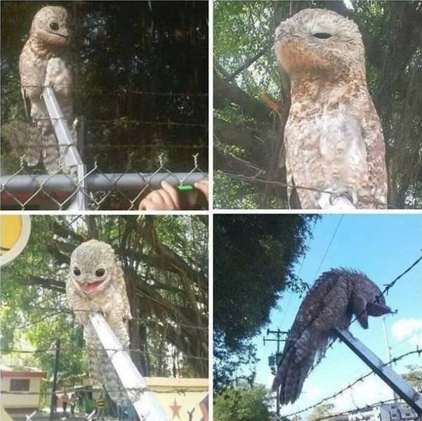 Acid Picdump. Part 1 (99 pics)