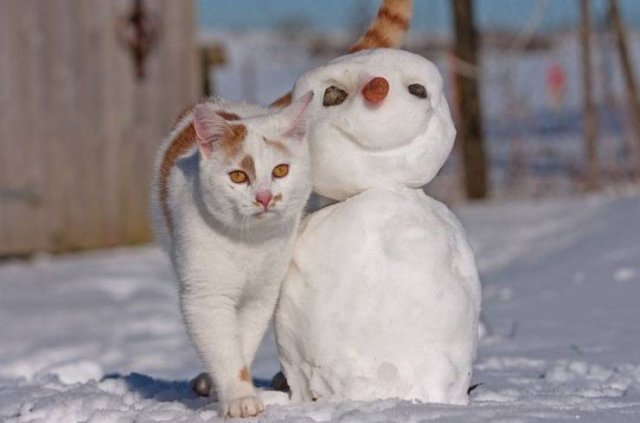 Acid Picdump. Part 1 (99 pics)