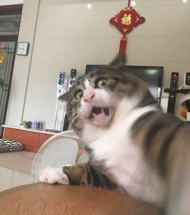 Acid Picdump. Part 1 (99 pics)