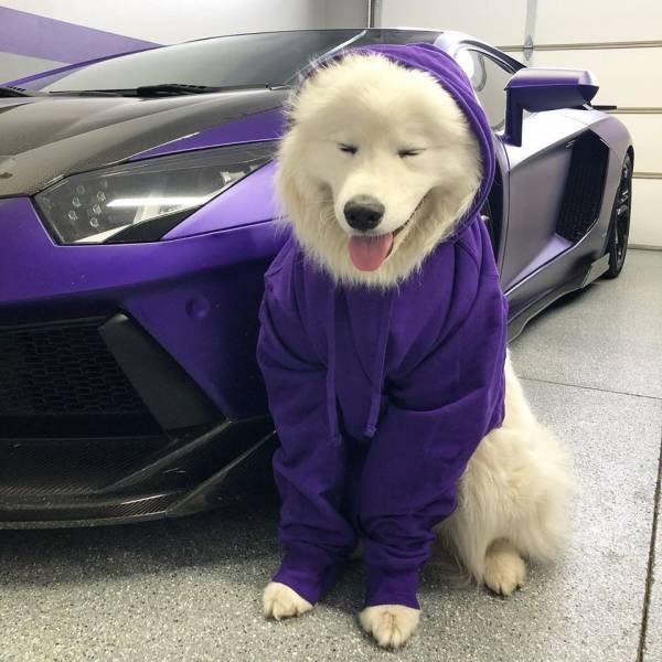Acid Picdump. Part 1 (99 pics)