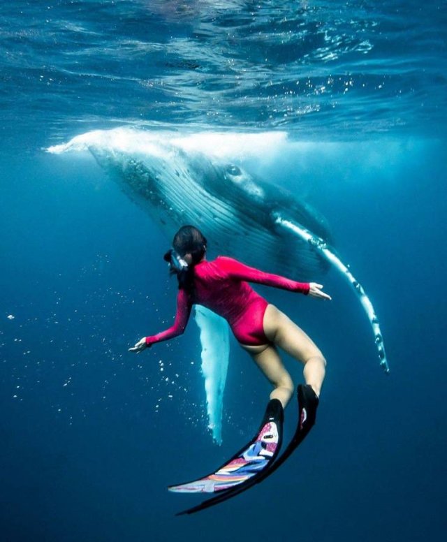Acid Picdump. Part 1 (99 pics)