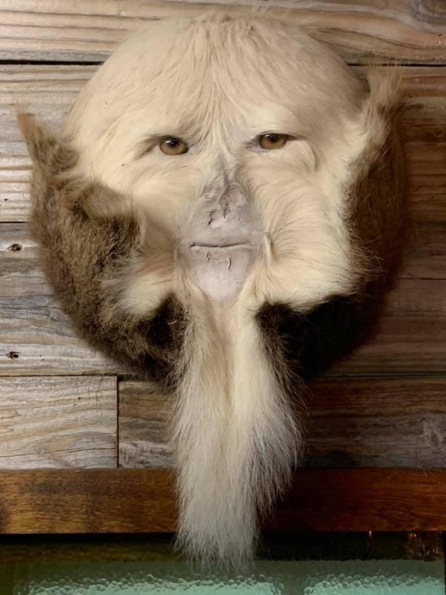 Acid Picdump. Part 2 (99 pics)