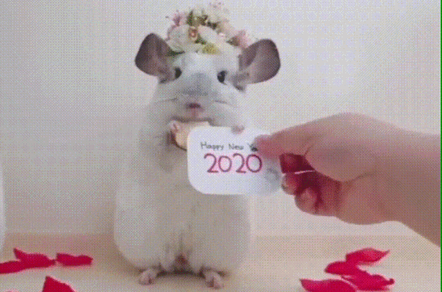 Acid Gifdump, January 8 (25 gifs)