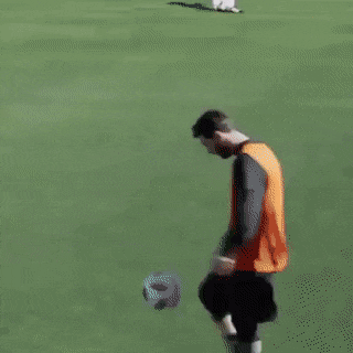 Acid Gifdump, January 8 (25 gifs)