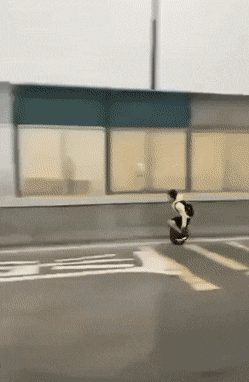 Acid Gifdump, January 8 (25 gifs)