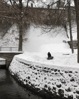 Acid Gifdump, January 8 (25 gifs)