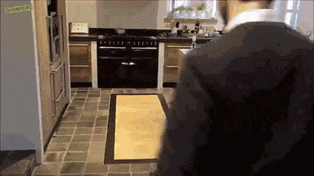 Acid Gifdump, January 8 (25 gifs)