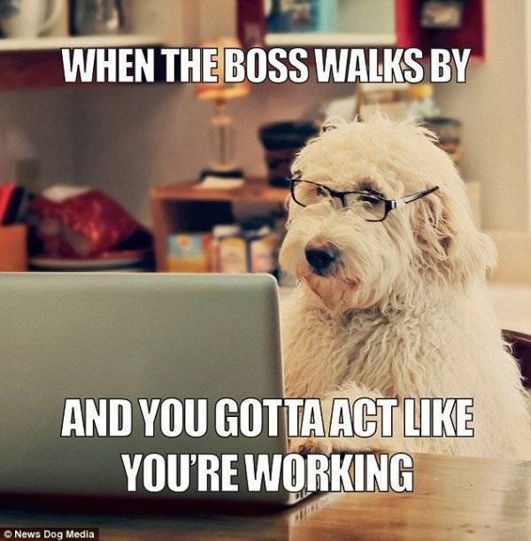 Memes About Work (44 pics)