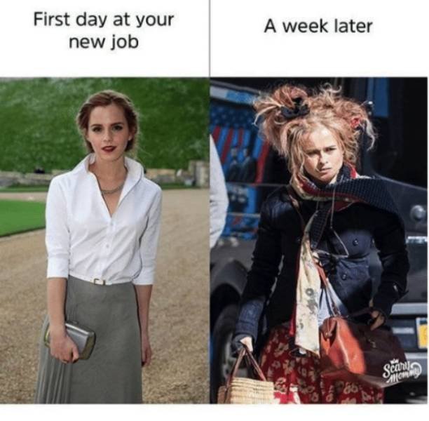 Memes About Work (44 pics)