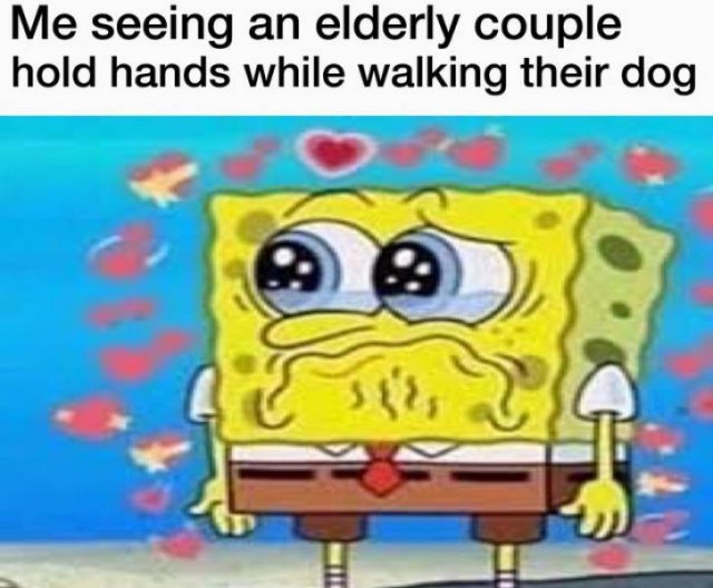 You Will Understand It Later (48 pics)