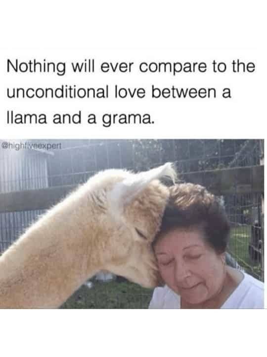 You Will Understand It Later (48 pics)