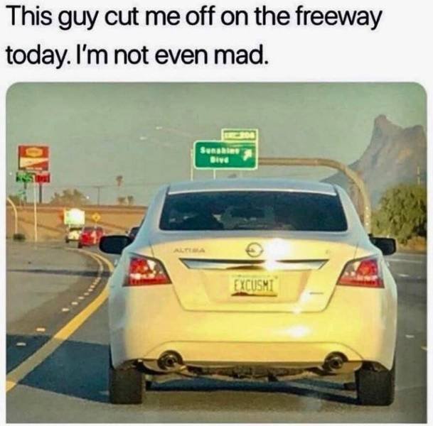 You Will Understand It Later (48 pics)