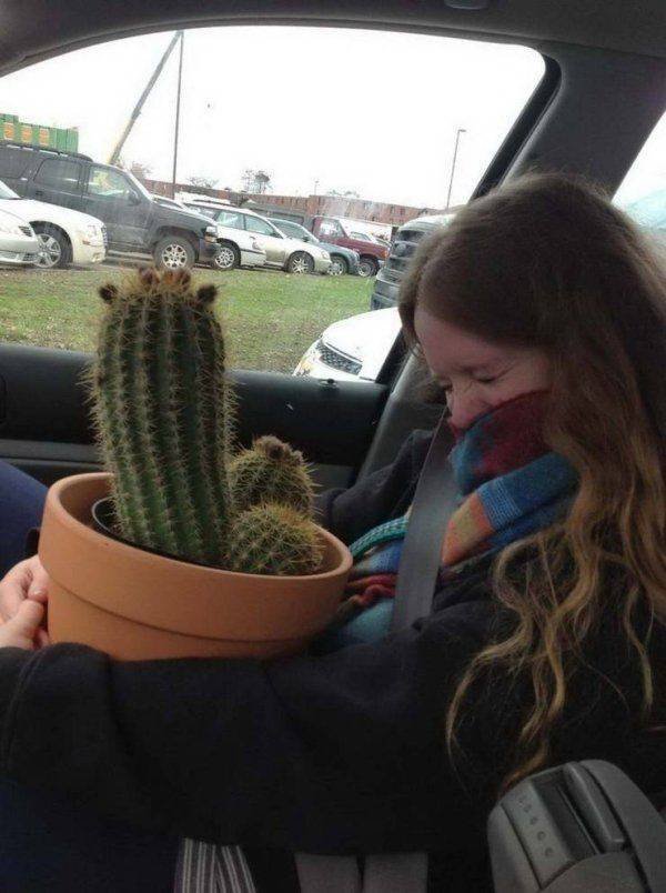 Dirty Humor (53 pics)