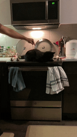 Acid Gifdump, January 9 (25 gifs)