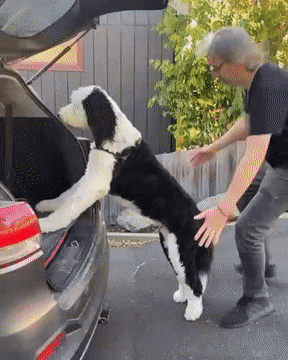 Acid Gifdump, January 9 (25 gifs)